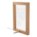 Led Light Trophy Woodiframe