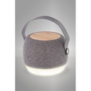 Charger Bluetooth Speaker Lumifi