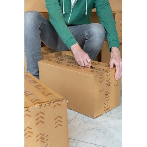 Parcel cutter