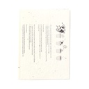 Seed paper sticky notepad Albot