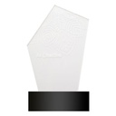 Led Light Trophy Ledify