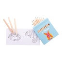 Custom Colouring Set, Animals Coloxil 12