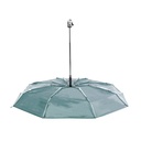 Umbrella Cirros