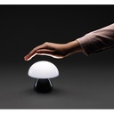 Luming RCS recycled plastic USB re-chargeable table lamp