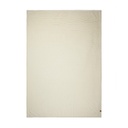 VINGA Branson GRS recycled pet blanket