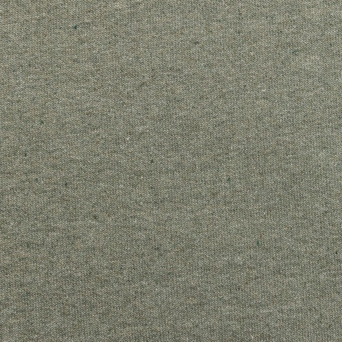 Iqoniq Manuel recycled cotton t-shirt undyed