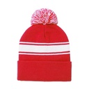 Winter Hat Frosty