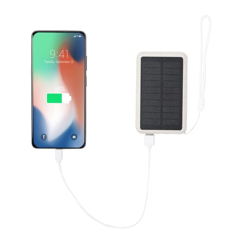 Power bank Dawson