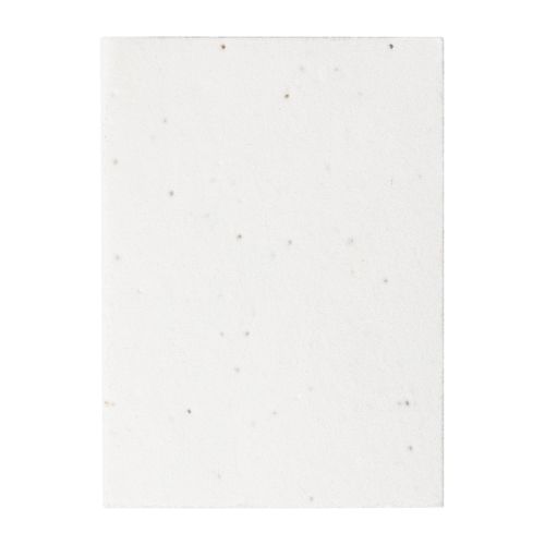 Seed Paper Sticky Notepad Semeno Note