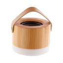 Bluetooth Speaker Lumier