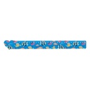 30 Cm Ruler, Circle Couler 30