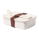Lunchbox Adobo