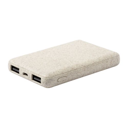 Power Bank Durum