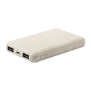 Powerbank Durum