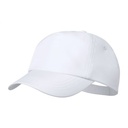 Rpet-Baseball Cap Maddux