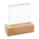 Trophy Rectofi