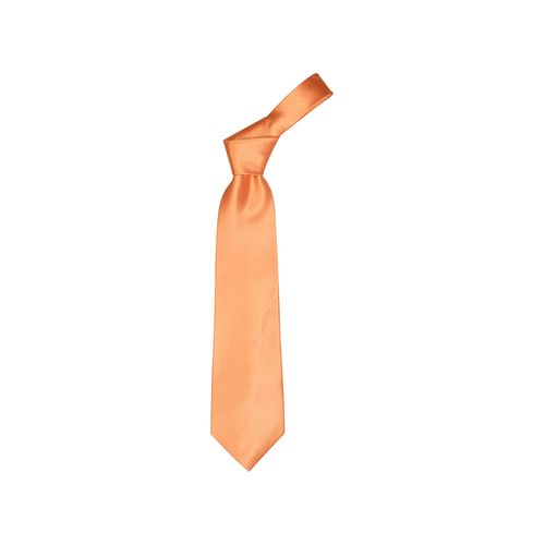 [AP1222] Necktie Colours
