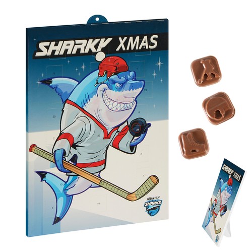 [110780053] Sport Advent Calendar