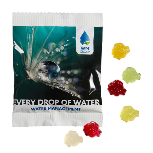 [110710002] Fruit Gum STANDARD 20 g