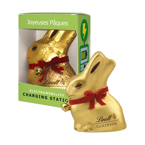 [110792010] L&S Chocolate Bunny gift box