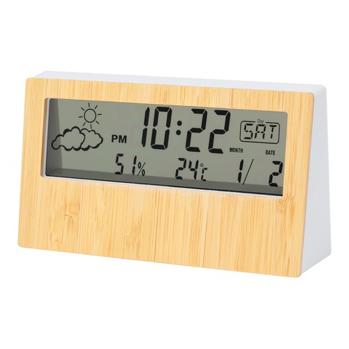 [AP733974] Weather station Roamer