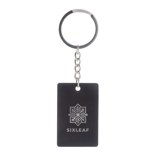 [AP808269-10] Keyring RectoShine