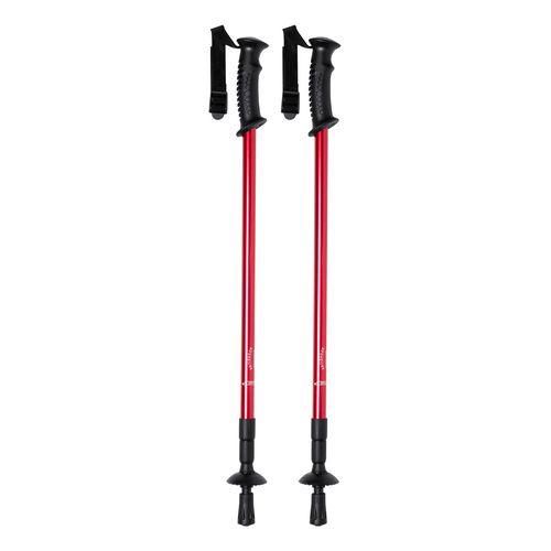 [AP721481] Nordic Walking Sticks Pulpit